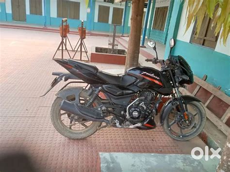 Pulsar 125 - Motorcycles - 1802278007