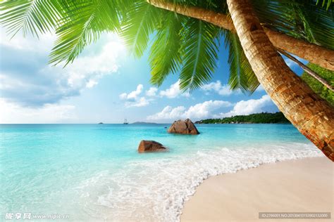 海边椰树风景图片素材-编号24064501-图行天下