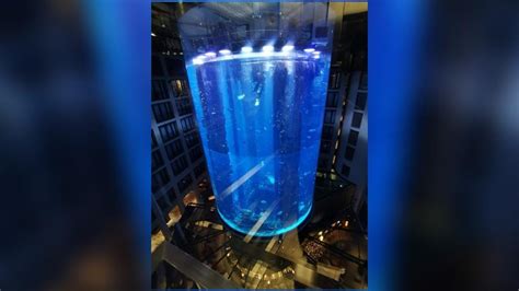 WATCH VIDEO: World's largest cylindrical aquarium in Berlin, house to ...