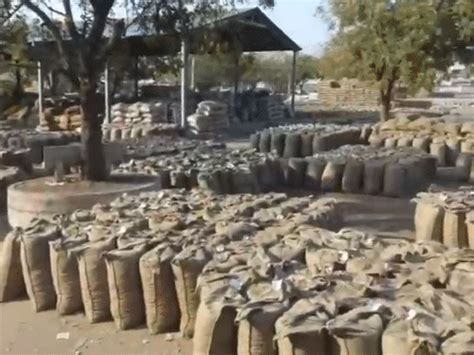 Groundnut bags pile up as storage crisis hits Amreli: All 13 MSP ...