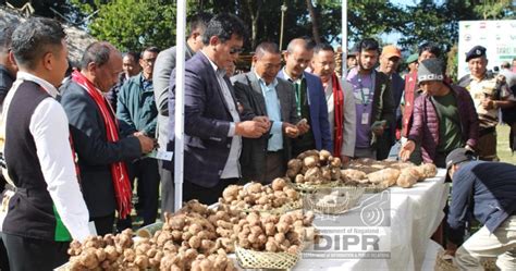 1st EDITION OF TARO FESTIVAL HELD AT PONGO VILLAGE