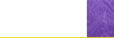 GIS For Electric & Gas Utilities | Improve Operations, Financials