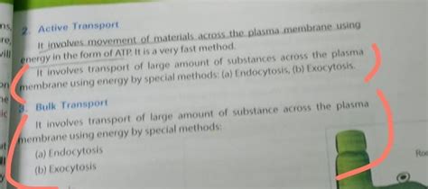 Are endocytosis and exocytosis active or bulk transport processes ...