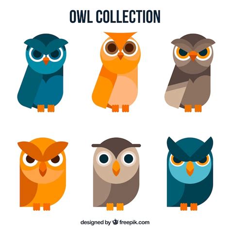 Page 2 | Buho Images - Free Download on Freepik
