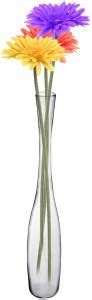 Aakriti Transparent Glass Flower Pot Long Stem Flower Vase 24 Inches ...