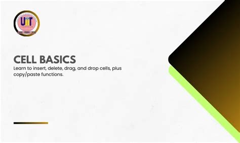 Cell Basics in Microsoft Excel