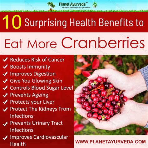 Cranberry Health Benefits Nutrients at Alan Matheny blog