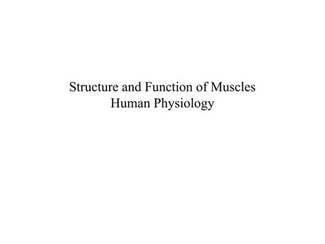 Image result for Muscle Structure and Function