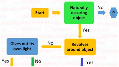 CLASS 6 NSO PREP - PRACTICE TEST #4 | Olympiad tester