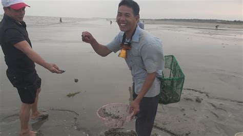 小池几人来到沙滩赶海捡海螺，捡到天黑有30多斤，玩得太过瘾了 - YouTube