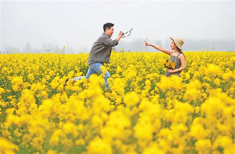 当花遇上诗词：每一朵花开，都是春天 - 中国日报网
