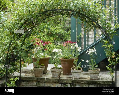 Collection of pots flowers metal arched trellis climbers gardens detail ...