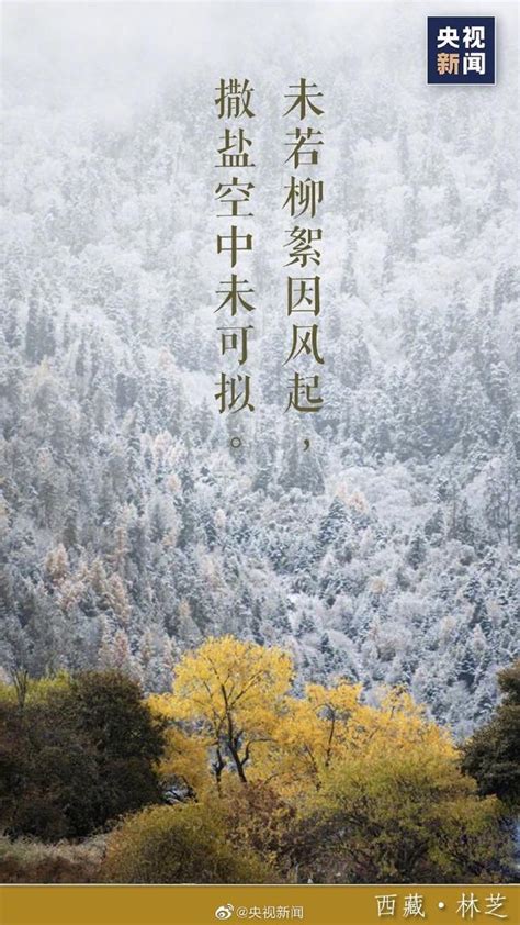 下雪有意境的唯美描写（表达下雪后的心情）内含图片_青通社
