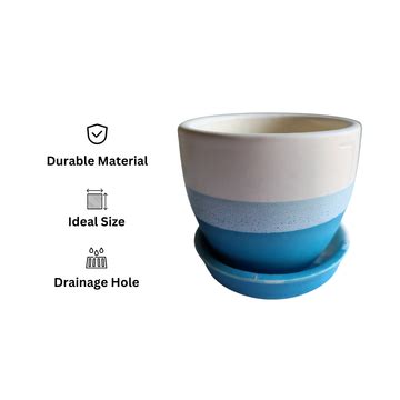 Buy Long Lasting And Durable Planters At Best Price | Gardengram