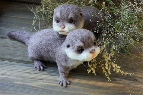 Image result for Wool Animals