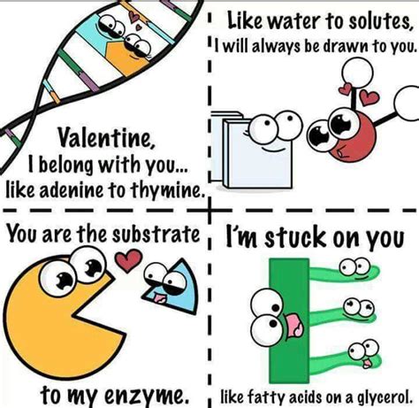 Biomolecules Jokes at Levi Davis blog