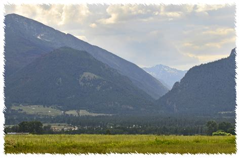 Image result for GUI Layout Design