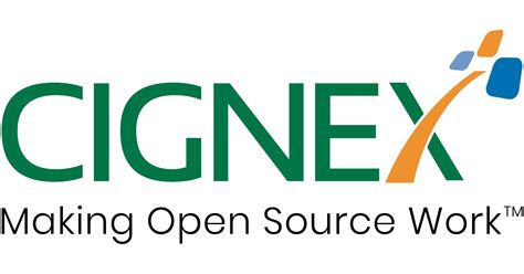 ITR Filing For Cignex Employees | Expert Assisted Income Tax Return ...