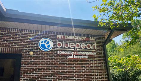 24 Hour Emergency Vet | BluePearl Pet Hospital | Durham, NC