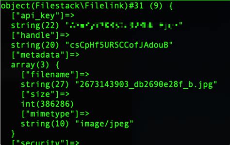Image result for How to Give a File a URL