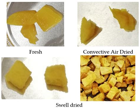 Effect of Swell-Drying on Mango (Mangifera indica) Drying Kinetics