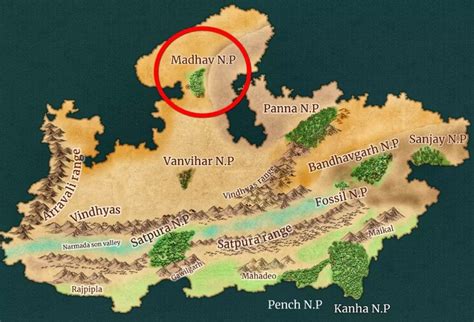 Exploring Madhav and Ratapani Tiger Reserves: Biodiversity