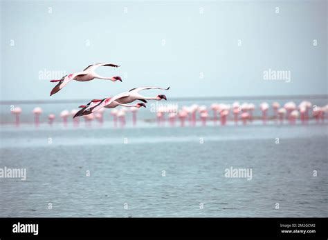 Image result for Text Normalization NLP