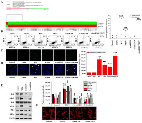 IJMS | Special Issue : Molecular Advances in Cancer Therapy