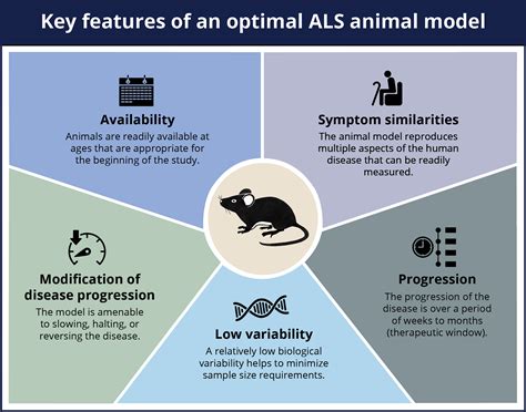 ALSマウスモデルを用いた創薬