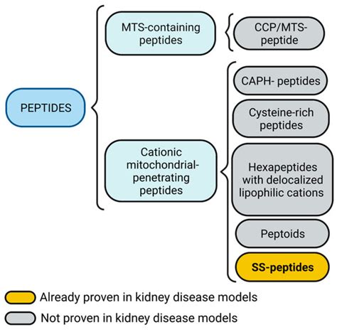 Future Pharmacology | Special Issue : Mitochondria as Potential Target ...