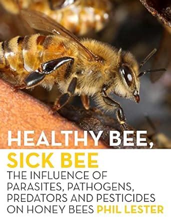 Buy Healthy Bee, Sick Bee: The Influence of Parasites, Pathogens ...
