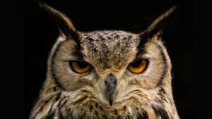 What is the Old Name of Ayodhya? Know About It