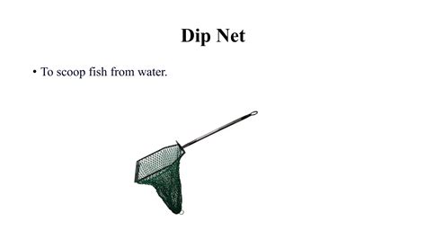 Fish Net Tutorial 的图像结果