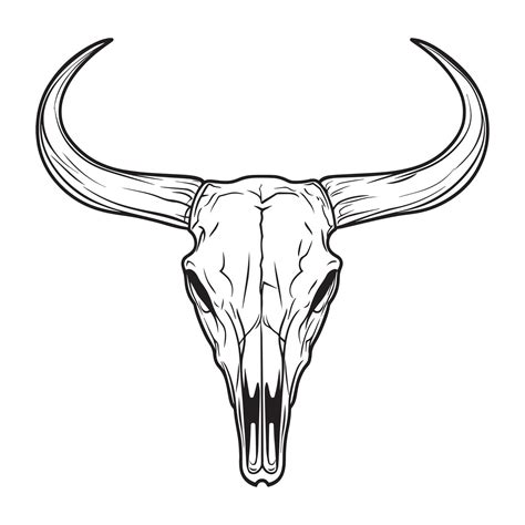 Elegant Longhorn Cow Skull Drawing Design 54985201 Vector Art at Vecteezy