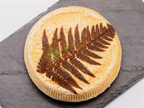 Image result for Filezza