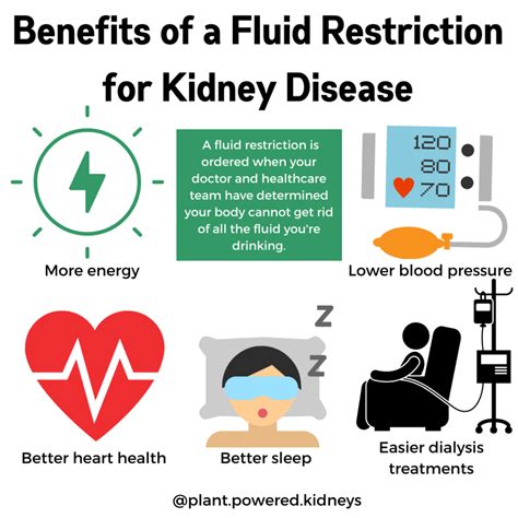 10 Fluid Restriction Tips to Keep You Healthy - Plant-Powered Kidneys | Renal Diet For Kidney ...