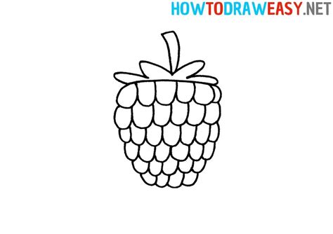 Image result for Draw Raspberry