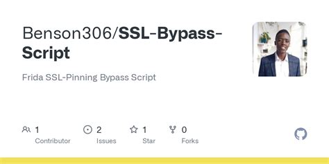 Netless Bypass Script 的图像结果