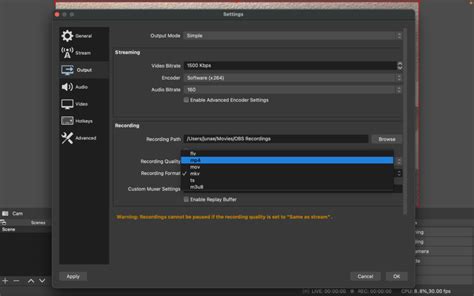 How to Record Video Using OBS 的图像结果