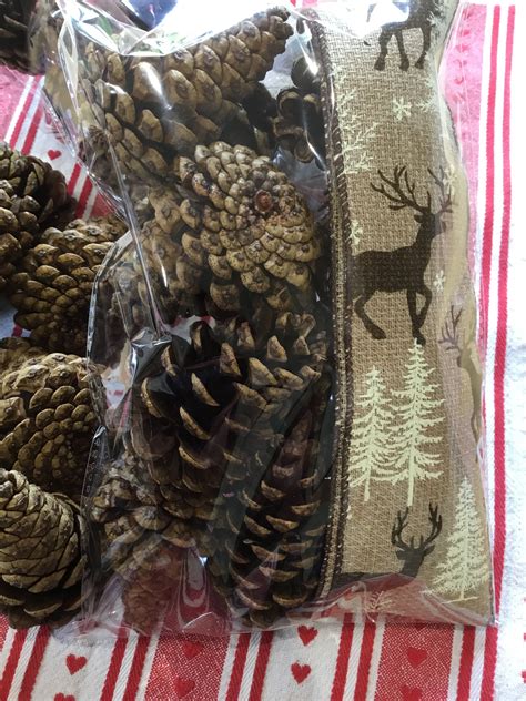 Christmas Fir Cones for Festive Crafts