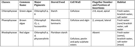 Algae: Chlorophyceae, Phaeophyceae and Rhodophyceae - Biology Class 11 ...