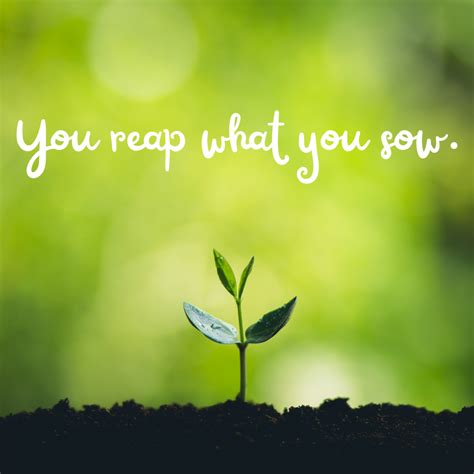 You reap what you sow. - Mindset Made Better