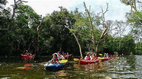 10 Reasons To Visit Singapore In 2025 | TravelTriangle