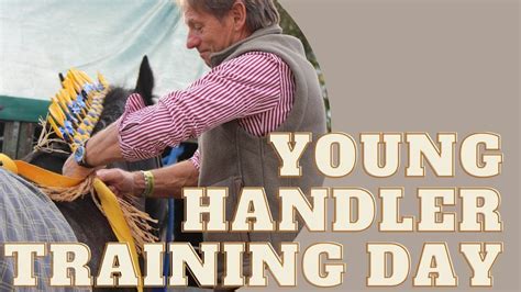 Young Handler Training Day, Ash End House Children's Farm, Tamworth, 30 ...