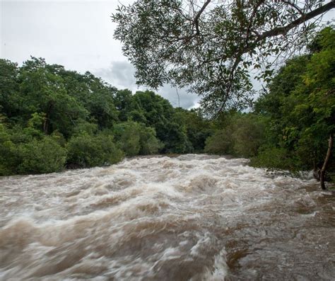 Nourriture qui n'apparaît que lors des inondations : le menu secret de ...