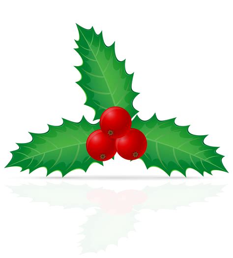 christmas holly berry vector illustration 510574 Vector Art at Vecteezy