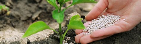 Nano Nest - Internship & Research Programs in Engineering and Science