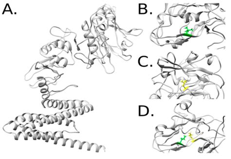 Toxic Determination of Cry11 Mutated Proteins Obtained Using Rational ...