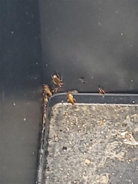 QUALITY INN LITTLE CREEK - Updated 2025 Prices & Hotel Reviews ...