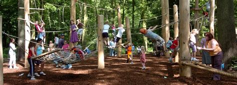 Image result for Plyar Design Tutorial